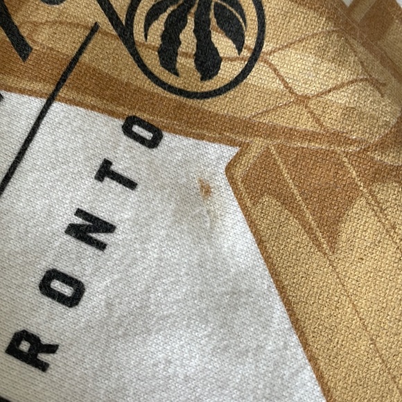 Mitchell and Ness Toronto Raptors Championship Hoodie - Picture 3 of 3